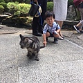 Okayama day 3_181015_0270.jpg