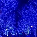 2018的尾巴_190115_0134.jpg