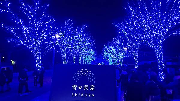 2018的尾巴_190115_0138.jpg