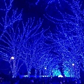 2018的尾巴_190115_0133.jpg