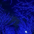 2018的尾巴_190115_0137.jpg