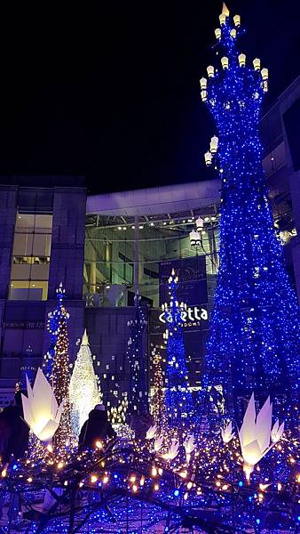 201913_190115_0124.jpg