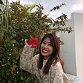 2020的起床就走沖繩（第一次）_200106_0118.jpg