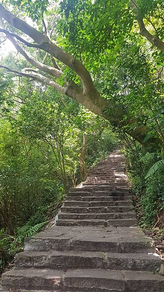 202051硬漢嶺&#128170;&#128170;_200507_0081.jpg