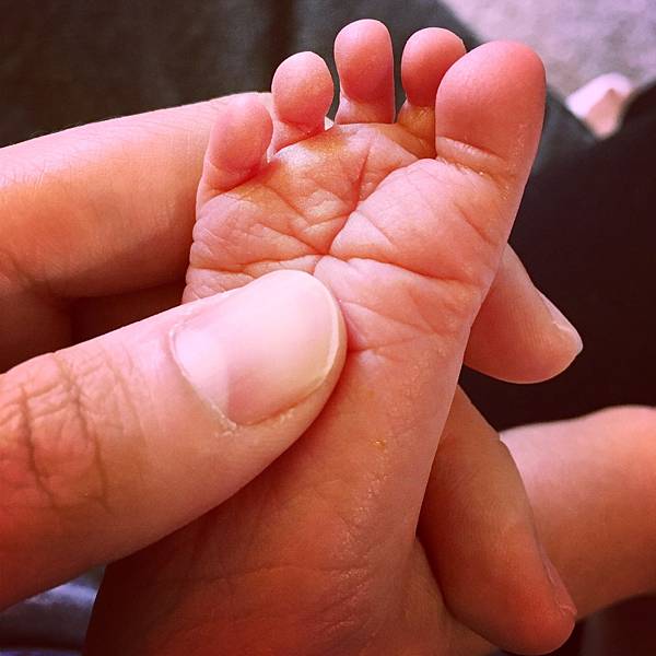 Photo 18-06-2016 17 03 12.jpg Photo 18-06-2016 17 03 12.jpg