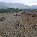 美瑛富良野 (136)