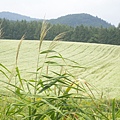 DSCN6198