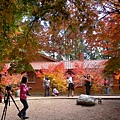 DSCN7329.JPG