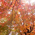 DSCN7143.JPG