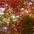 DSCN7147.JPG