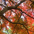 DSCN7150.JPG