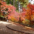 DSCN7152.JPG