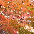 DSCN7156.JPG