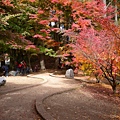 DSCN7158.JPG