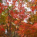 DSCN7164.JPG