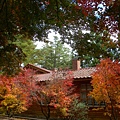DSCN7167.JPG