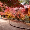 DSCN7170.JPG