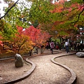 DSCN7171.JPG
