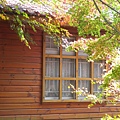 DSCN7181.JPG