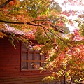 DSCN7182.JPG