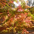DSCN7183.JPG