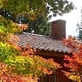 DSCN7189.JPG
