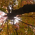 DSCN7218.JPG