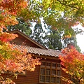 DSCN7244.JPG