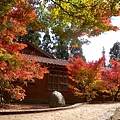 DSCN7248.JPG