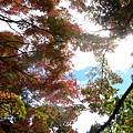DSCN7250.JPG