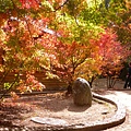 DSCN7265.JPG