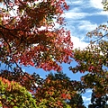 DSCN7269.JPG