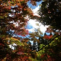 DSCN7279.JPG