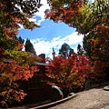 DSCN7299.JPG