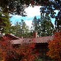 DSCN7311.JPG