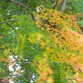 DSCN7314.JPG