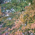 DSCN7318.JPG