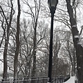 2016 0123 Day 11_1653.jpg