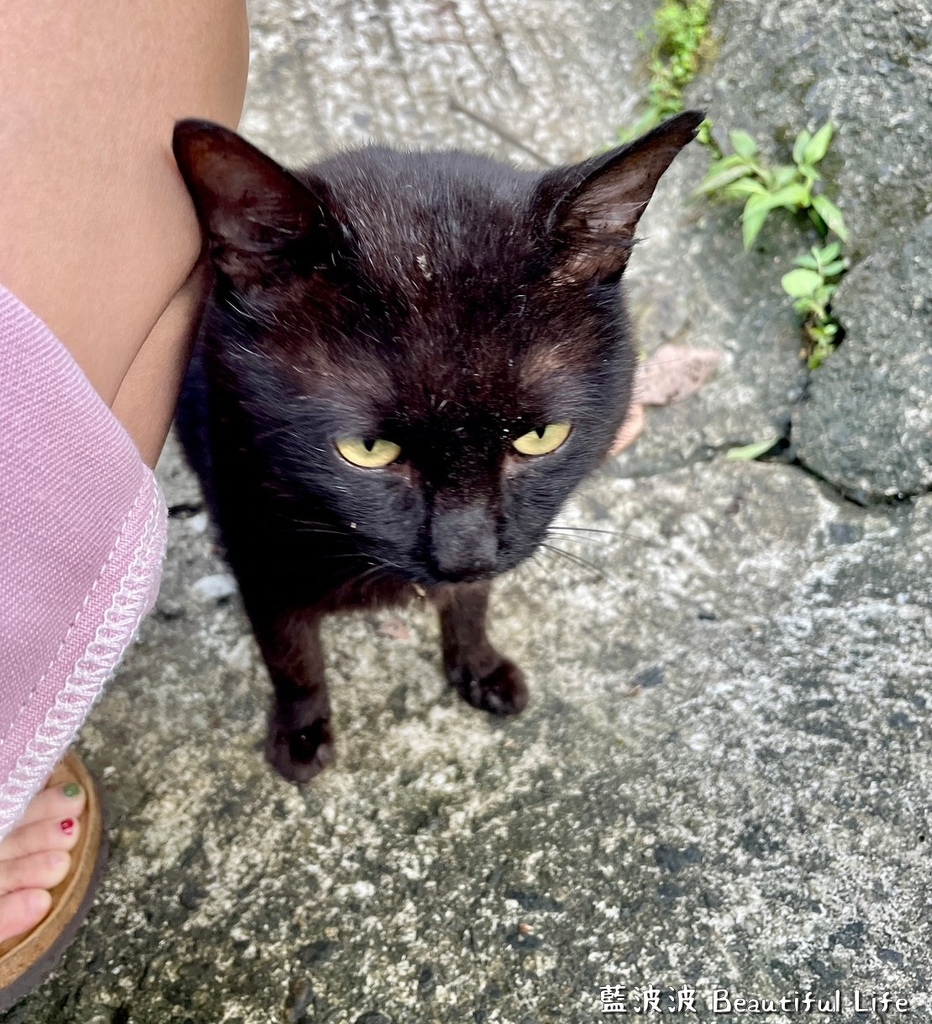 LINE_ALBUM_柯子林_230706_3.jpg LINE_ALBUM_柯子林_230706_3.jpg