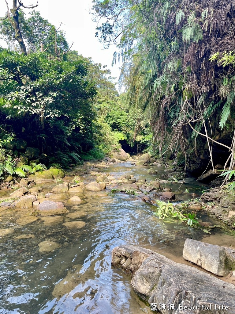 LINE_ALBUM_柯子林_230706_21.jpg LINE_ALBUM_柯子林_230706_21.jpg