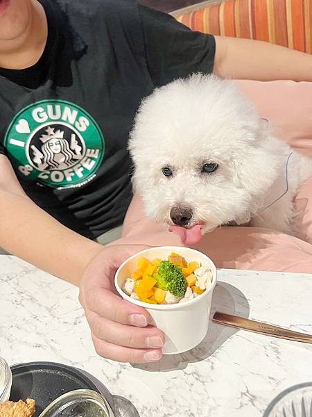 IMG_1439.JPG IMG_1439.JPG