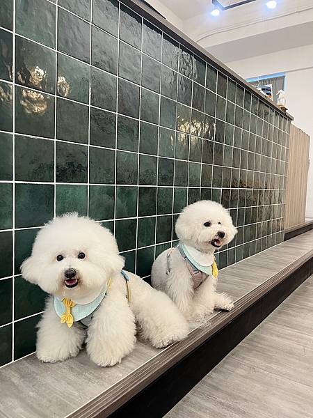 IMG_4208.JPG IMG_4208.JPG