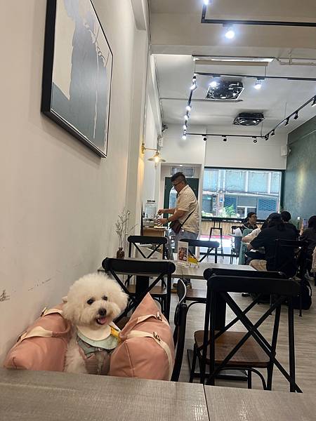 IMG_3842.jpg IMG_3842.jpg