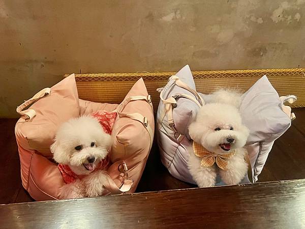 IMG_6533.jpg IMG_6533.jpg