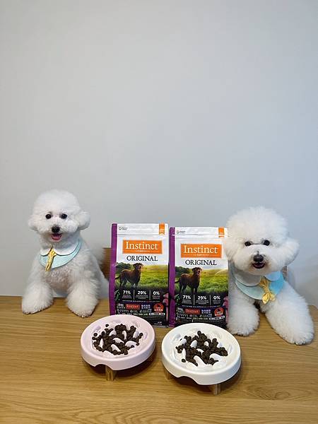 IMG_8004.JPG IMG_8004.JPG