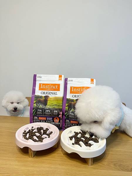 IMG_7347.jpg IMG_7347.jpg