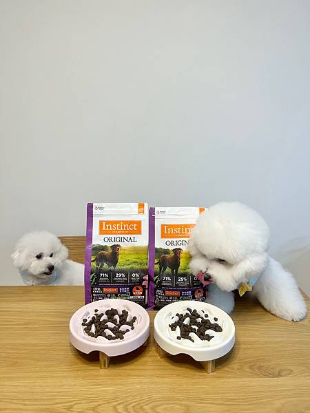 IMG_7345.jpg IMG_7345.jpg