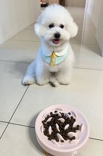 IMG_7355.jpg IMG_7355.jpg