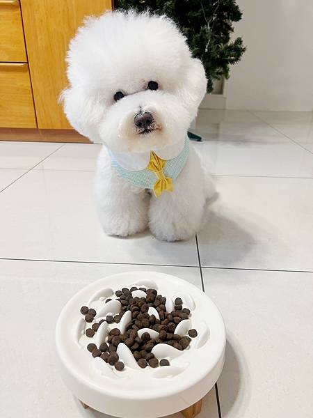 IMG_8138.JPG IMG_8138.JPG