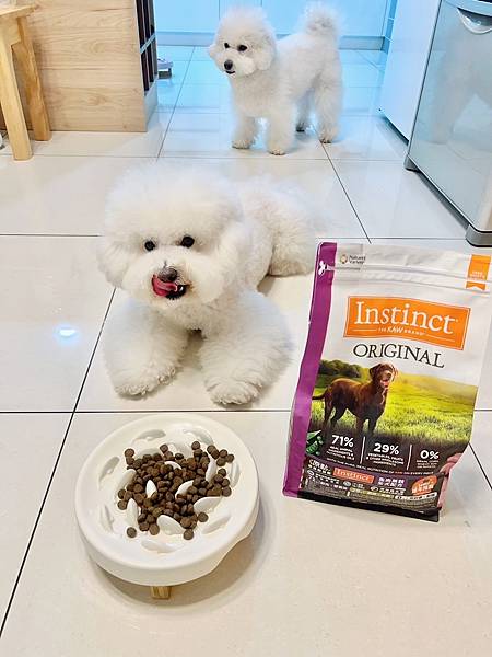 IMG_8137.JPG IMG_8137.JPG